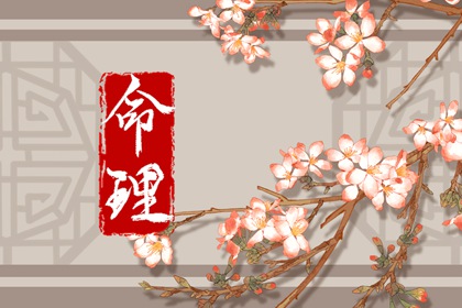 李老师，为什么当你放下的时候，人生才真正开始